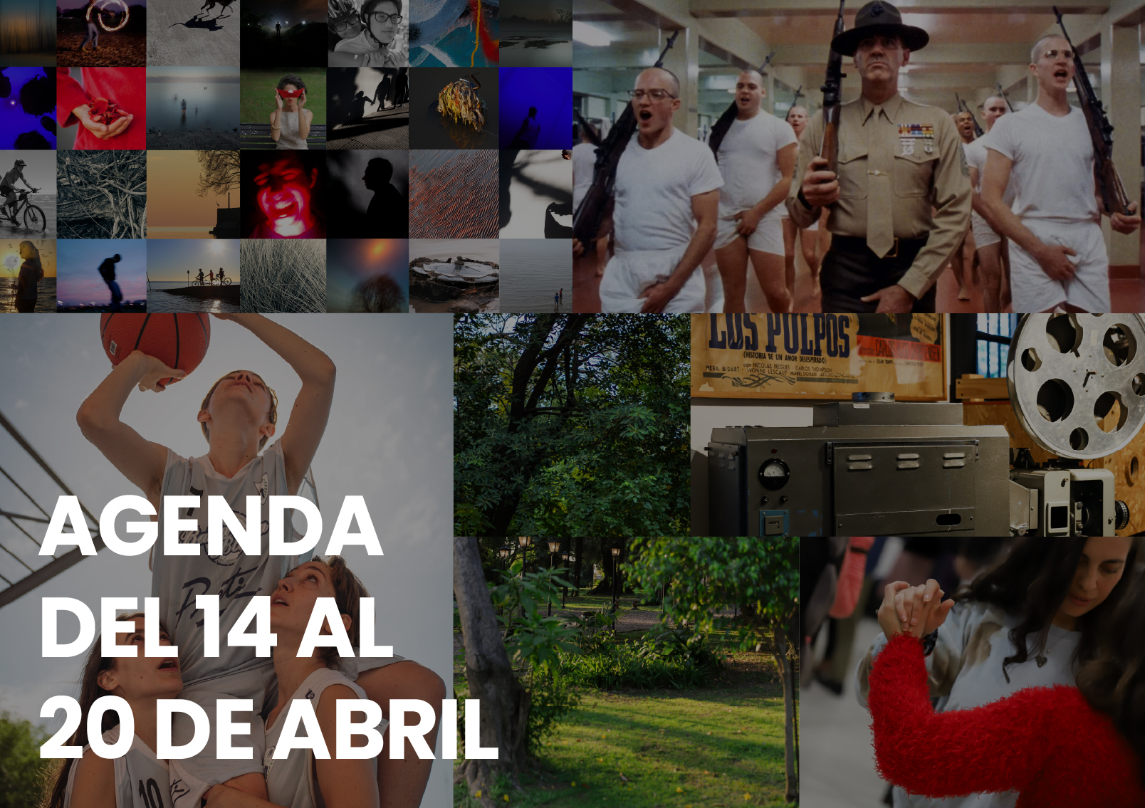 agenda - Municipio Vicente López