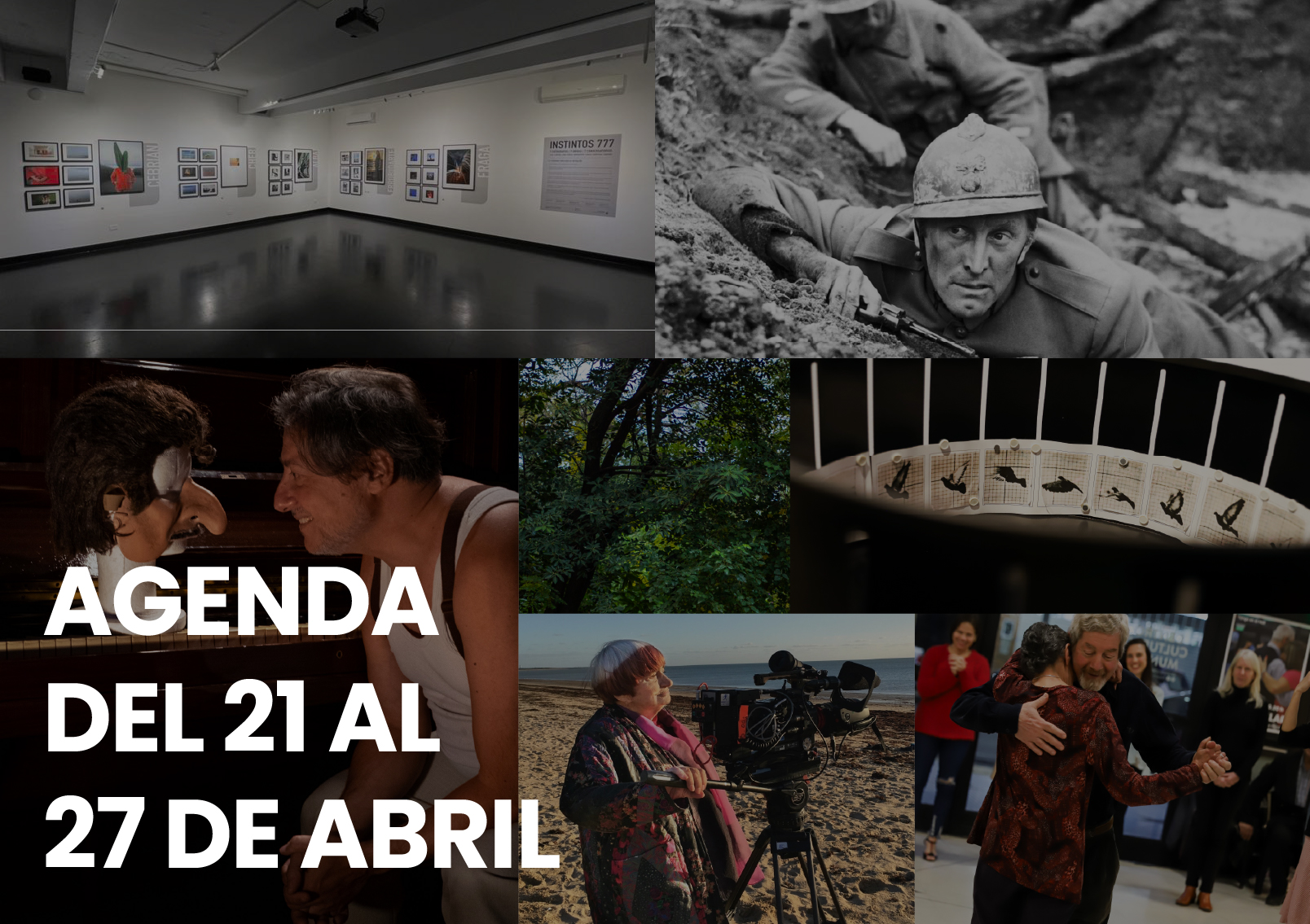 agenda - Municipio Vicente López