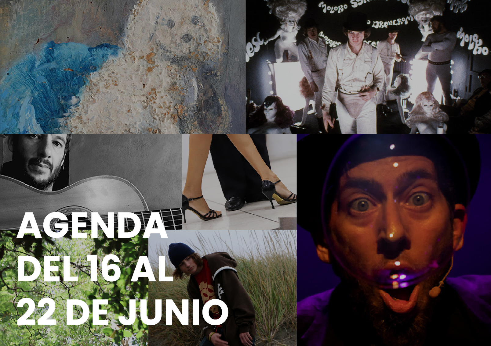 agenda - Municipio Vicente López