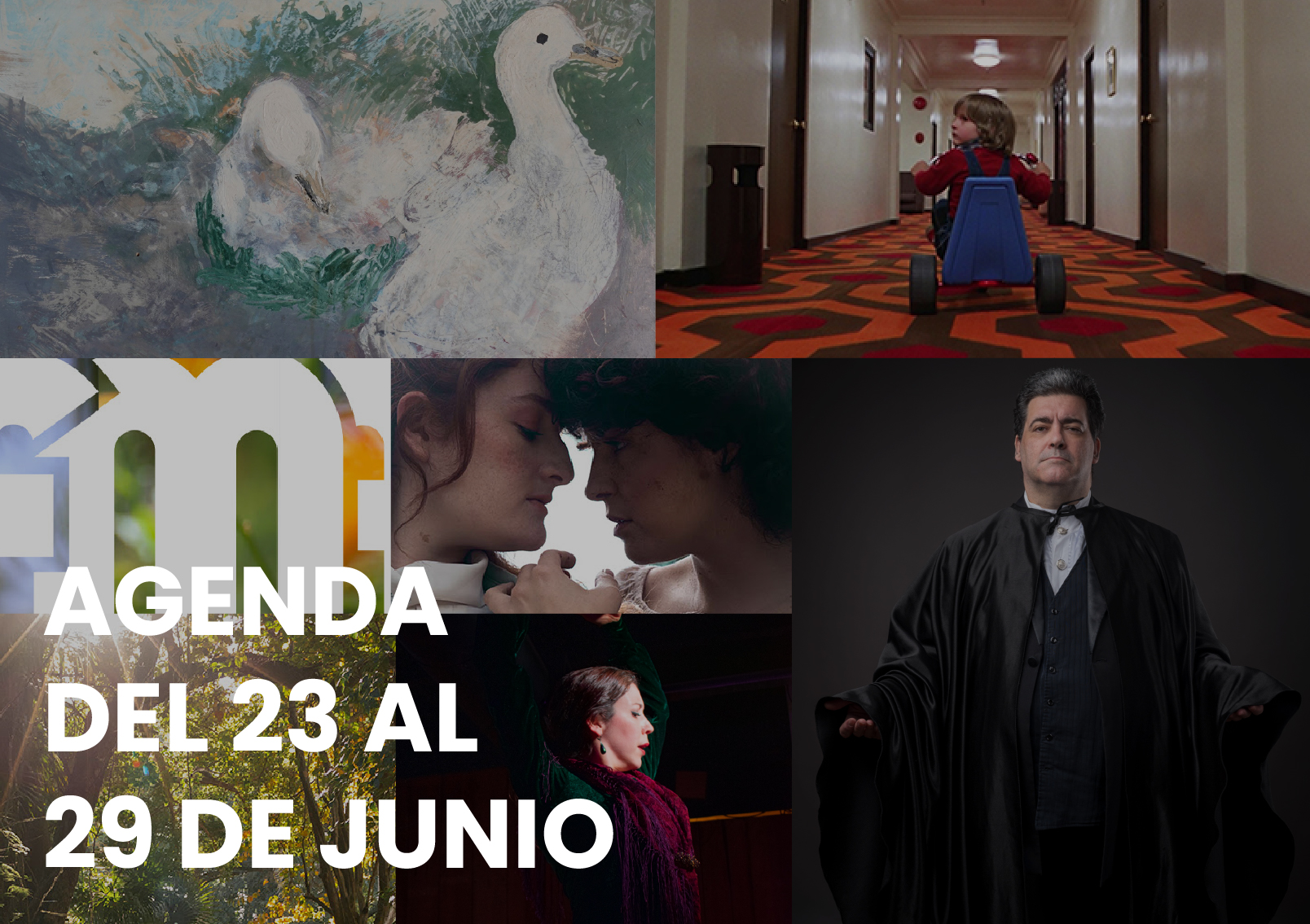 agenda - Municipio Vicente López