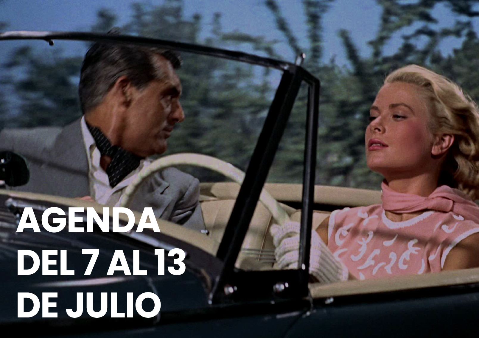 agenda - Municipio Vicente López