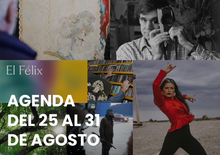 agenda - Municipio Vicente López