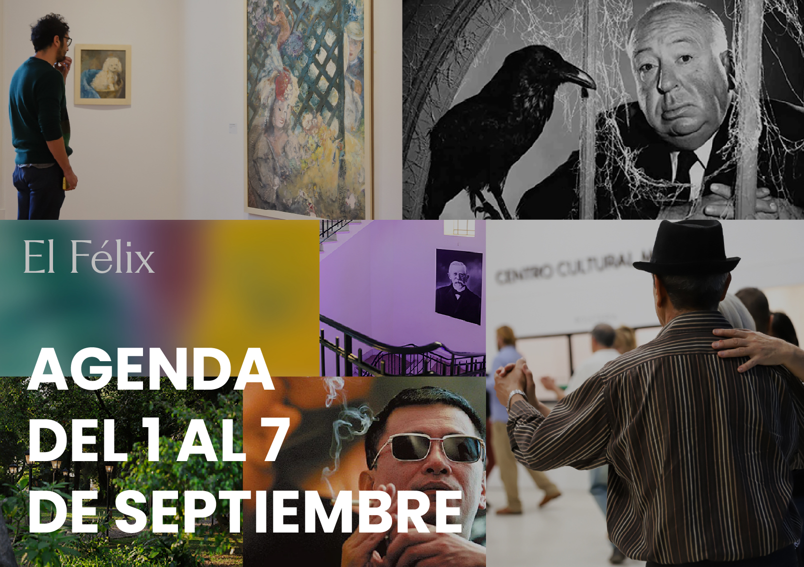 agenda - Municipio Vicente López