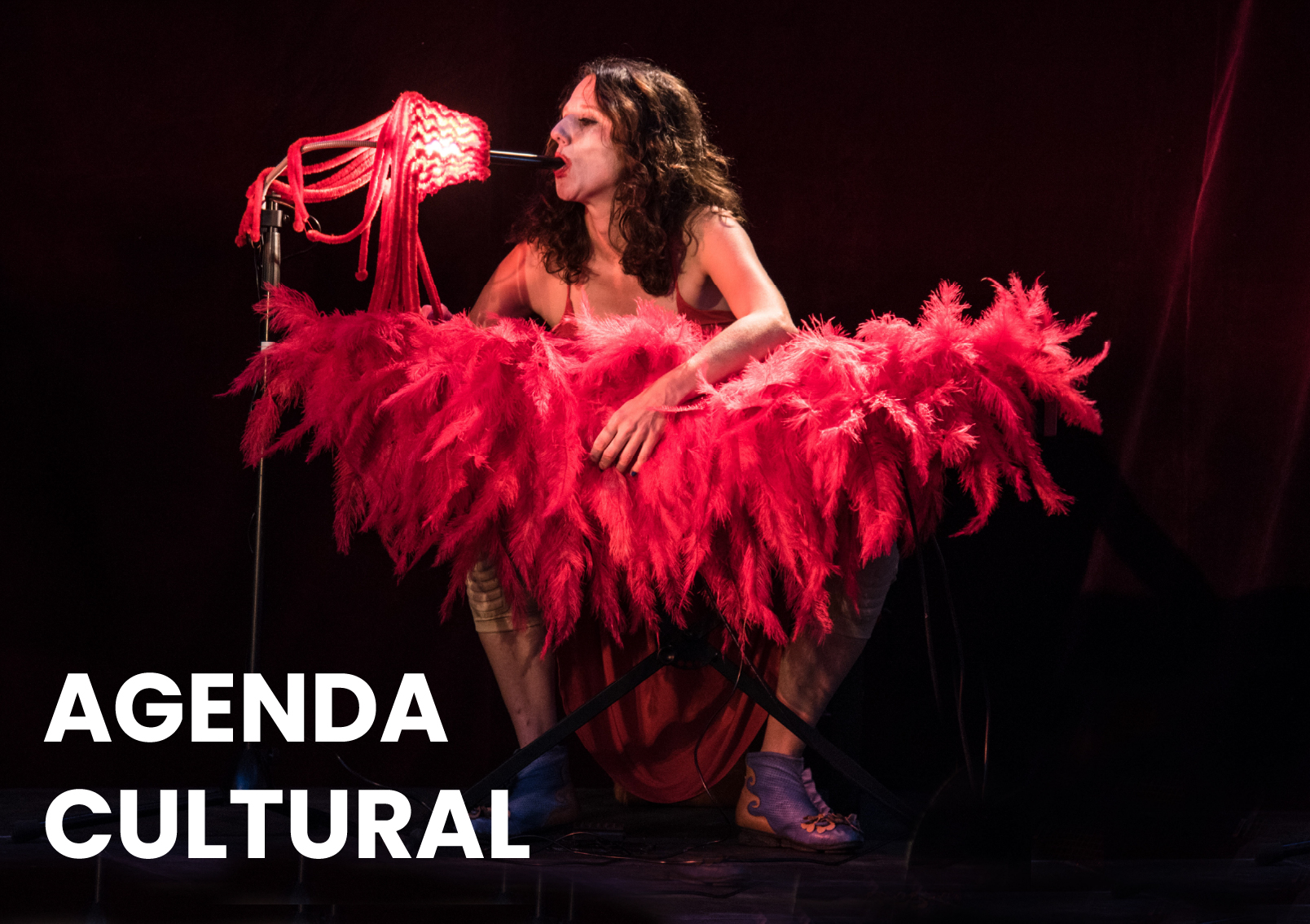 agenda - Municipio Vicente López