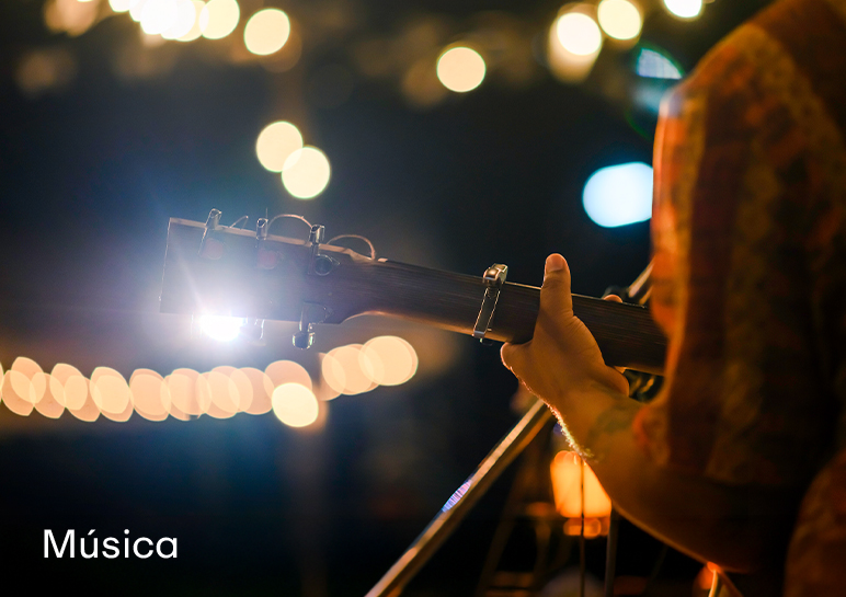 agenda - Municipio Vicente López