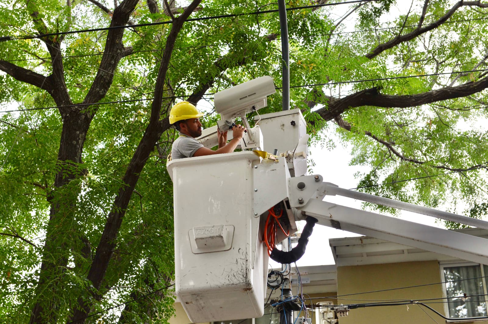 gestion - Municipio Vicente López